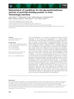 Báo cáo khoa học: Optimization of conditions for the glycosyltransferase activity of penicillin-binding protein 1a from Thermotoga maritima ppt