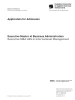 Executive Master of Business Administration Executive MBA UAS in International Management pot