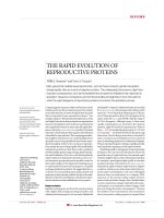 THE RAPID EVOLUTION OF REPRODUCTIVE PROTEINS pptx