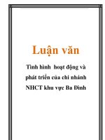 Luận văn: Tình hình hoạt động và phát triển của chi nhánh NHCT khu vực Ba Đình ppt