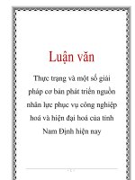 Luận văn: Thực trạng và một số giải pháp cơ bản phát triển nguồn nhân lực phục vụ công nghiệp hoá và hiện đại hoá của tỉnh Nam Định hiện nay pot