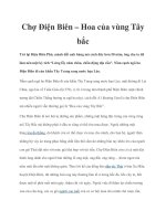 Chợ Điện Biên – Hoa của vùng Tây bắc pot