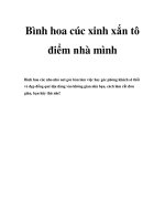 Bình hoa cúc xinh xắn tô điểm nhà mình pot