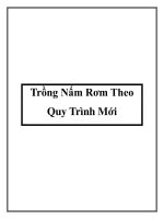 Trồng Nấm Rơm Theo Quy Trình Mới docx