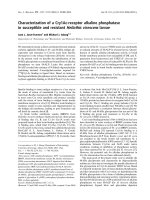 Báo cáo khoa học: Characterization of a Cry1Ac-receptor alkaline phosphatase in susceptible and resistant Heliothis virescens larvae potx