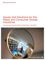 ISSUES AND SOLUTIONS FOR THE RETAIL AND CONSUMER GOODS INDUSTRIES doc