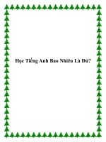 Học Tiếng Anh Bao Nhiêu Là Đủ? potx