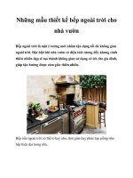 Những mẫu thiết kế bếp ngoài trời cho nhà vườn pot