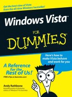 windows vista for dummies