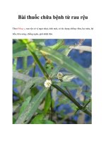 Bài thuốc chữa bệnh từ rau rệu docx