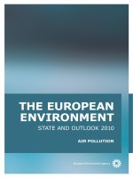 THE EUROPEAN ENVIRONMENT: STATE AND OUTLOOK 2010 pot