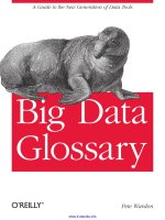 Big Data Glossary pptx
