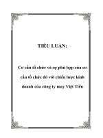 TIỂU LUẬN: Cơ cấu tổ chức và sự phù hợp của cơ cấu tổ chức đó với chiến lược kinh doanh của công ty may Việt Tiến pdf