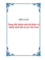 TIỂU LUẬN: Xung đột chính sách tài khóa và chính sách tiền tệ tại Việt Nam doc