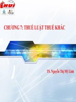 Các loại thuế khác pot