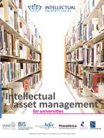 INTELLECTUAL ASSET MANAGEMENT FOR UNIVERSITIES doc