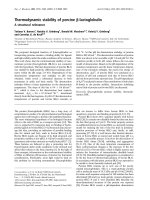 Báo cáo khoa học: Thermodynamic stability of porcine b-lactoglobulin A structural relevance docx