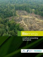 Bioenergy a carbon accounting time bomb pdf