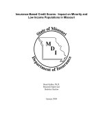 Insurance-Based Credit Scores: Impact on Minority and Low Income Populations in Missouri doc