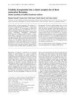 Báo cáo Y học: O-GalNAc incorporation into a cluster acceptor site of three consecutive threonines Distinct speciﬁcity of GalNAc-transferase isoforms pot