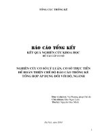 Nghiên cứu cơ sở lý luận, cơ sở thực tiễn để hoàn thiện chế độ báo cáo thống kê tổng hợp áp dụng đối với bộ, ngành potx