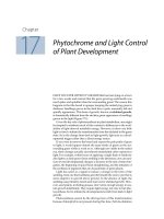 Plant physiology - Chapter 17 Phytochrome and Light Control of Plant Development pptx