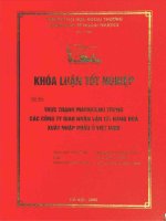 Thực trạng Marketing trong các công ty giao nhận vận tải hàng hoá xuất nhập khẩu ở Việt Nam