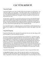 CÁC VÙNG KINH TẾ pot