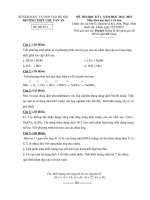 Đề thi học kì 1 môn Hóa 11D1 cơ bản trường Chu Văn An pptx