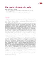 The poultry industry in India pot