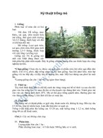 Kỹ thuật trồng mè pdf