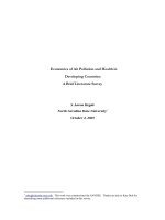 Economics of Air Pollution and Health in Developing Countries: A Brief Literature Survey docx