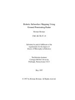 Robotic Subsurface Mapping Using Ground Penetrating Radar doc