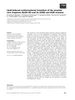 Báo cáo khoa học: Lipid-induced conformational transition of the amyloid core fragment Ab(28–35) and its A30G and A30I mutants docx
