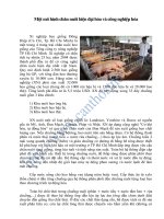 Một mô hình chăn nuôi hiện đại hóa và công nghiệp hóa ppt