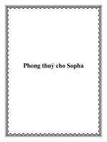 Phong thuỷ cho Sopha doc