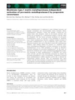 Báo cáo khoa học: Membrane type-1 matrix metalloprotease-independent activation of pro-matrix metalloprotease-2 by proprotein convertases docx