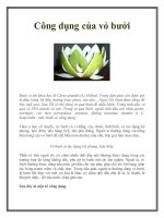 Công dụng của vỏ bưởi pdf