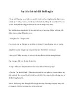 Sự tích thỏ tai dài đuôi ngắn potx