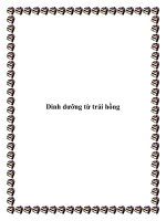 Dinh dưỡng từ trái hồng pot