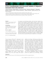 Báo cáo khoa học: X-ray crystallography and structural stability of digestive lysozyme from cow stomach doc