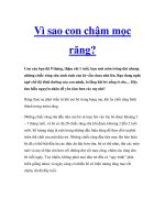 Vì sao con chậm mọc răng? pdf