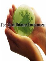 the global business environment doc