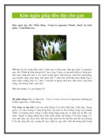 Kim ngân giúp tiêu độc cho gan ppt