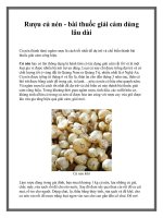 Rượu củ nén - bài thuốc giải cảm dùng lâu dài pdf