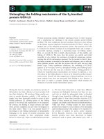 Báo cáo khoa học: Untangling the folding mechanism of the 52-knotted protein UCH-L3 potx