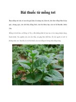 Bài thuốc từ mồng tơi docx
