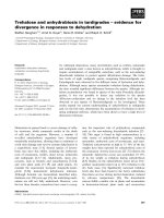 Báo cáo khoa học: Trehalose and anhydrobiosis in tardigrades – evidence for divergence in responses to dehydration ppt