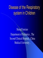 Disease of the Respiratory system in Children ppt