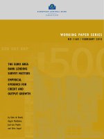 Working PaPer SerieS no 1160 / FeBrUarY 2010: evidence For SUrveY maTTerS The eUro area Bank lending emPirical crediT and oUTPUT groWTh pptx